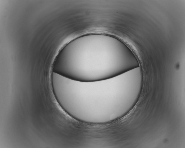 X0000095931382200801110908