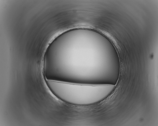 X0000095931383200801110908