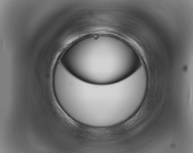 X0000095931384200801110908