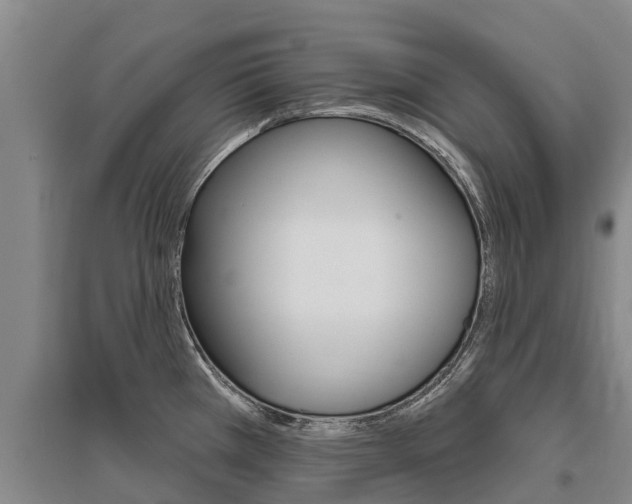 X0000095931385200801110908