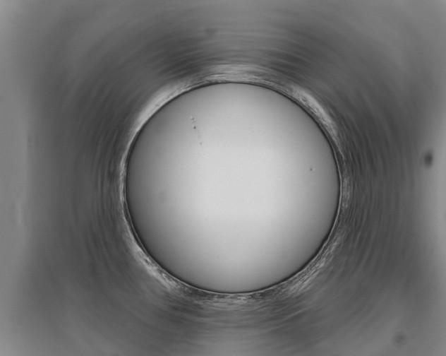 X0000095931386200801110908