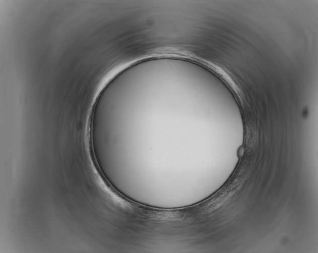 X0000095931387200801110908