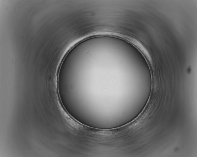 X0000095931388200801110908