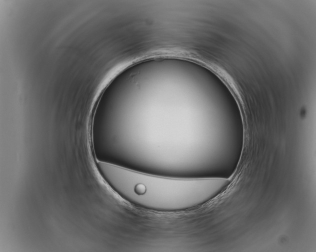 X0000095931389200801110908