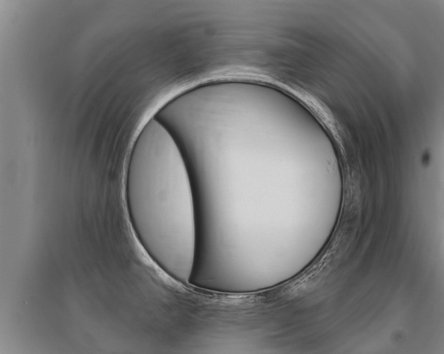 X0000095931390200801110908