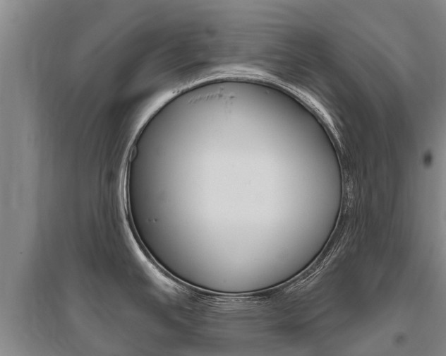 X0000095931391200801110908