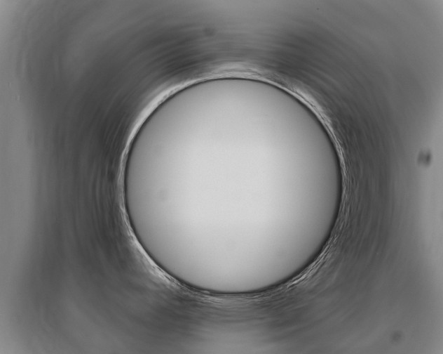 X0000095931392200801110908