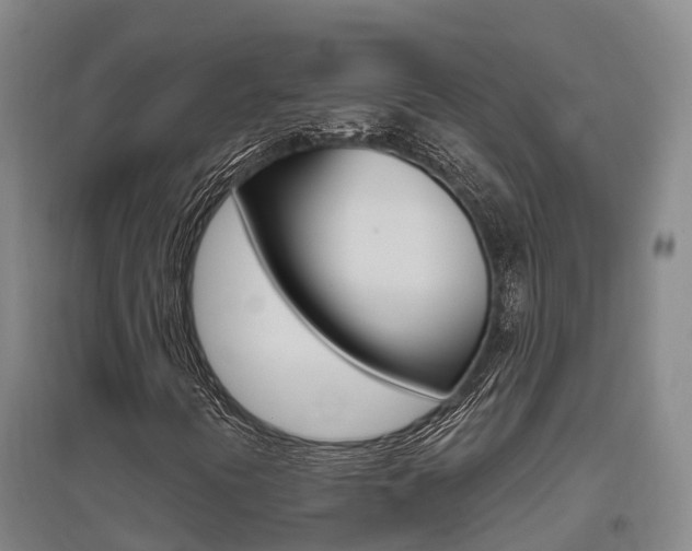 X0000095931394200801110907