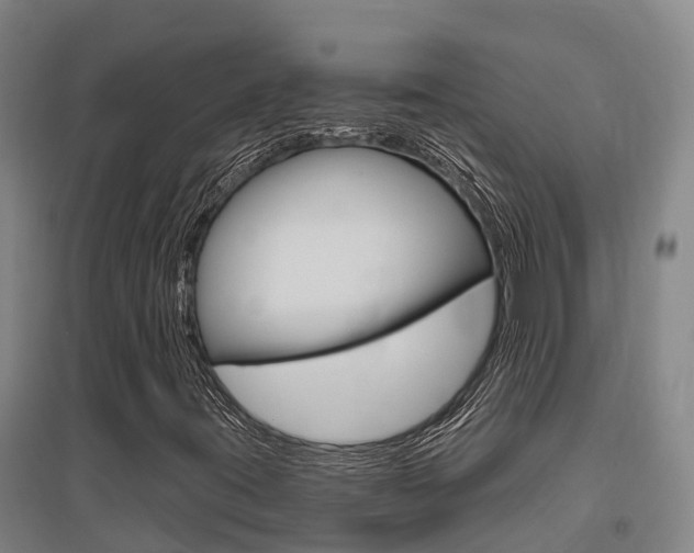 X0000095931395200801110907