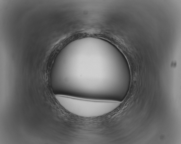 X0000095931398200801110907