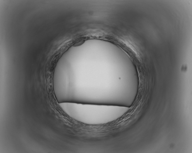 X0000095931399200801110907
