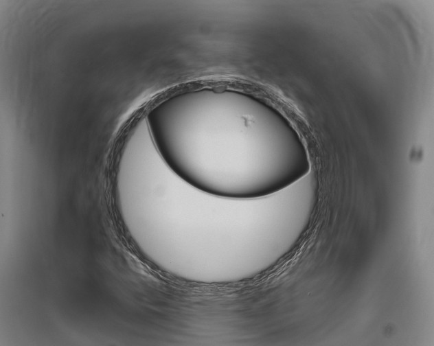 X0000095931400200801110907