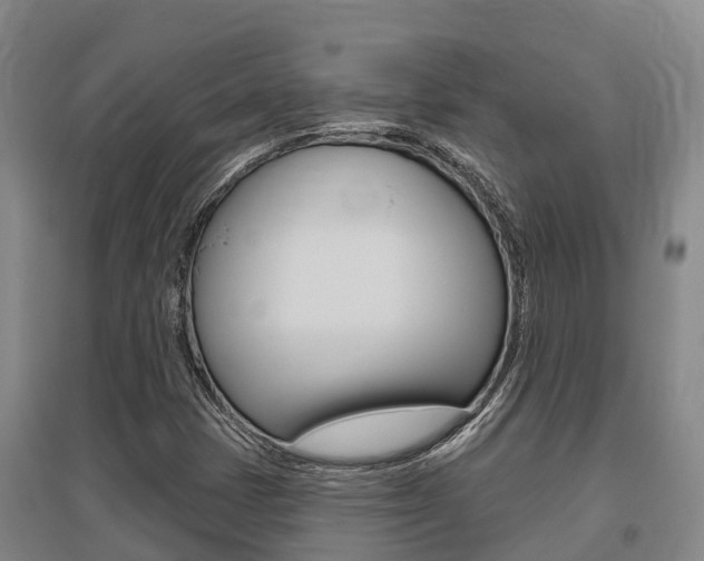 X0000095931401200801110907