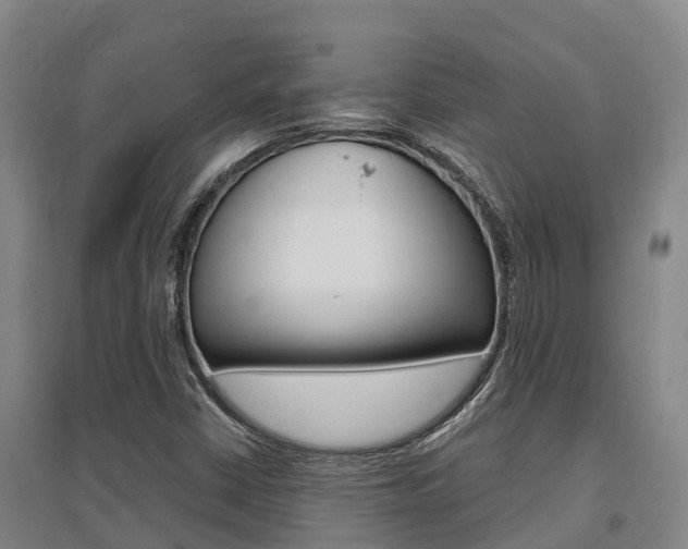 X0000095931402200801110907
