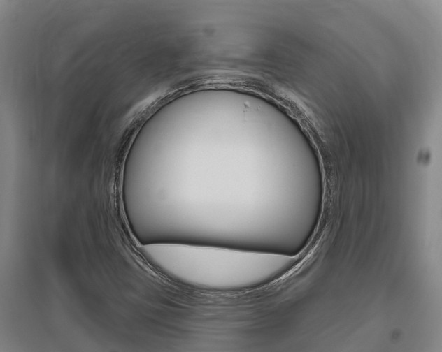 X0000095931403200801110907