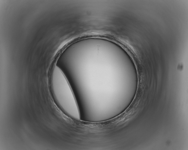 X0000095931404200801110907
