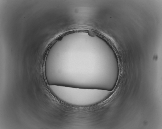 X0000095931407200801110907