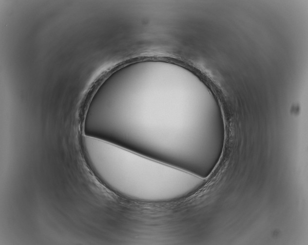 X0000095931408200801110907