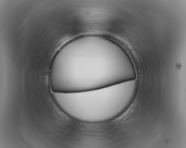 X0000095931409200801110907