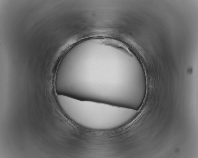X0000095931411200801110907
