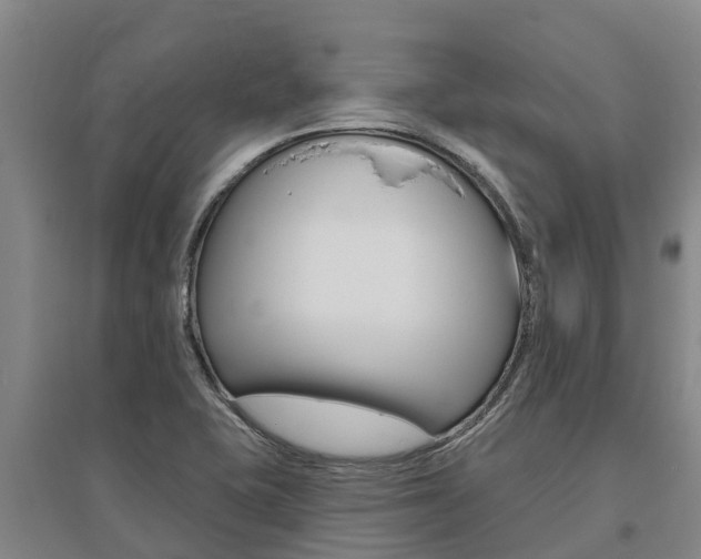 X0000095931415200801110907