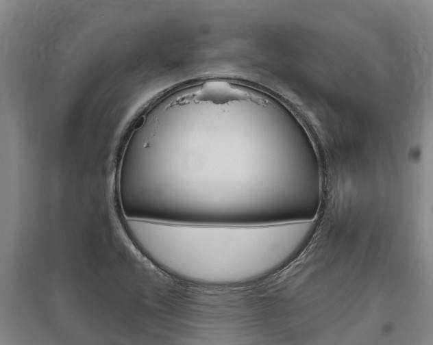 X0000095931416200801110907