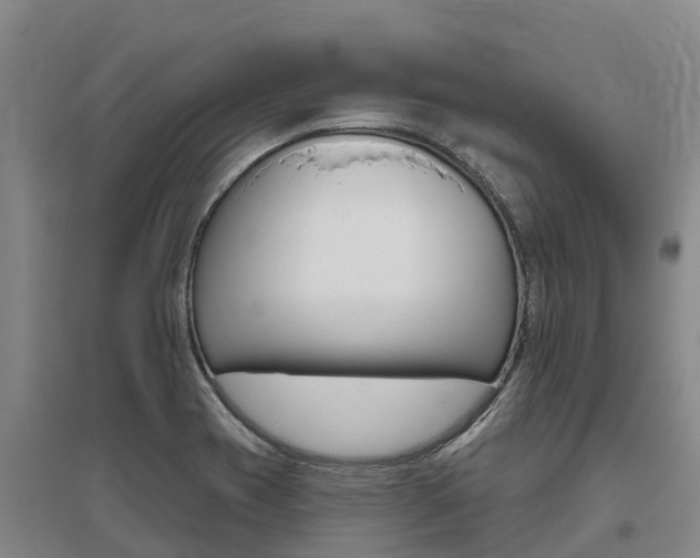 X0000095931417200801110907