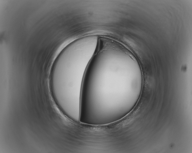 X0000095931418200801110907