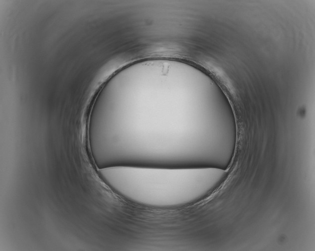 X0000095931419200801110907