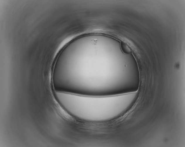 X0000095931420200801110907