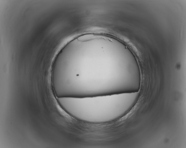X0000095931421200801110907
