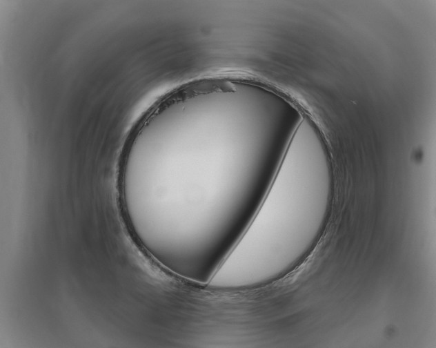 X0000095931422200801110907