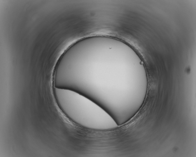 X0000095931423200801110907