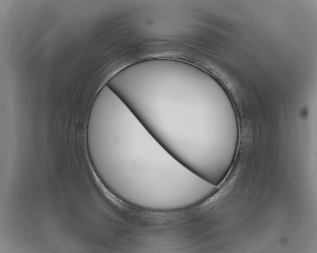 X0000095931425200801110907