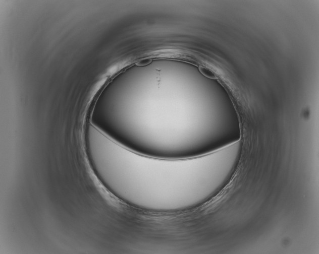 X0000095931426200801110907