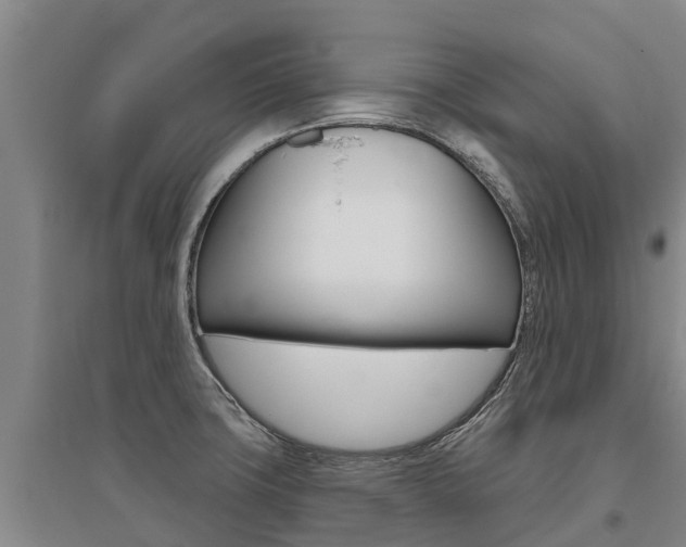 X0000095931427200801110907