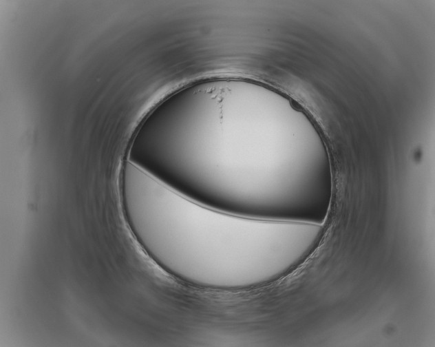 X0000095931428200801110907