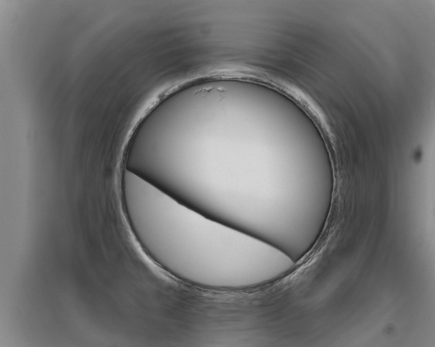 X0000095931429200801110907