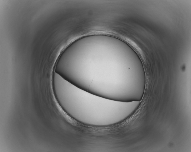 X0000095931431200801110907