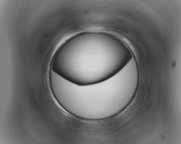 X0000095931432200801110907