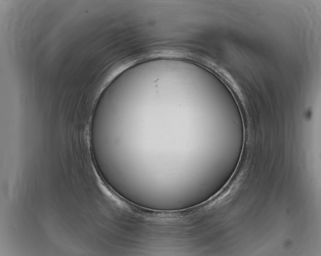 X0000095931433200801110907