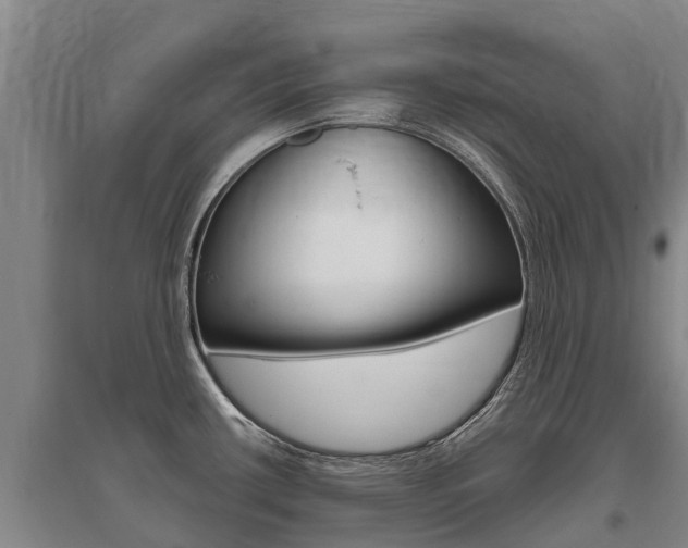 X0000095931434200801110907