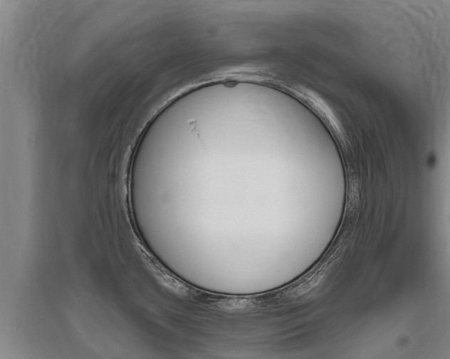 X0000095931435200801110908