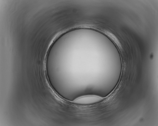 X0000095931436200801110908