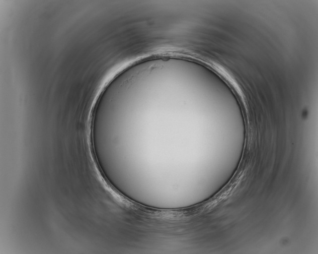 X0000095931437200801110908