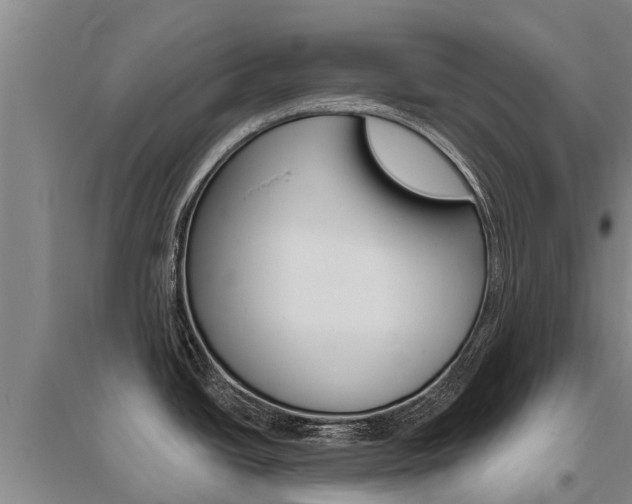 X0000095931438200801110908
