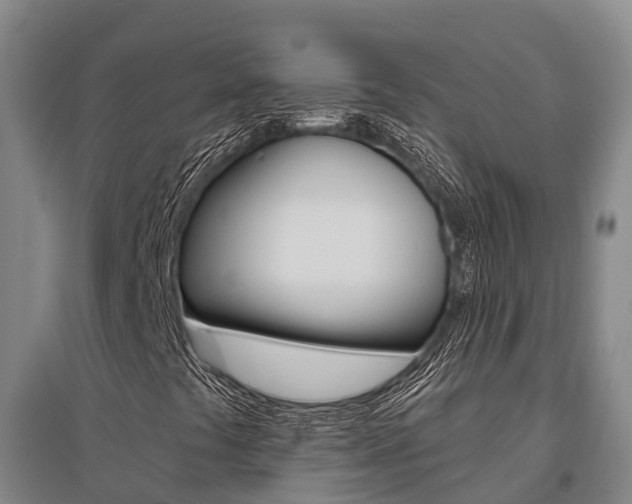 X0000095931441200801110907