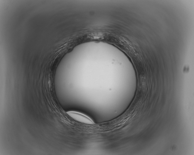X0000095931442200801110907