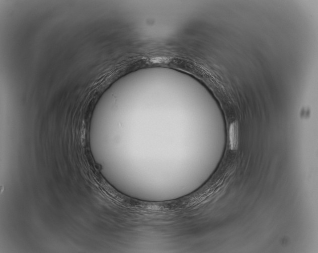 X0000095931443200801110907