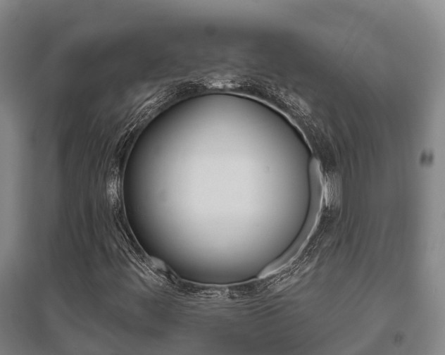 X0000095931444200801110907